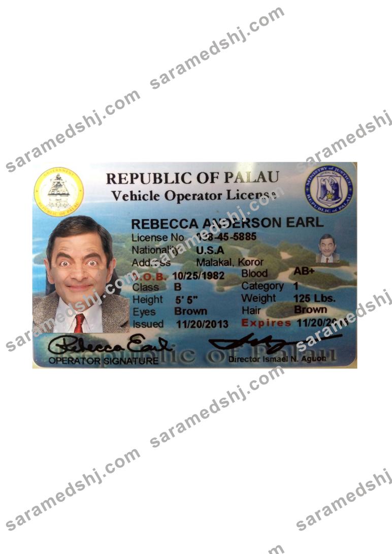 Palau driving license front side